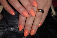 Nagelgallerie-Mandel-scaled